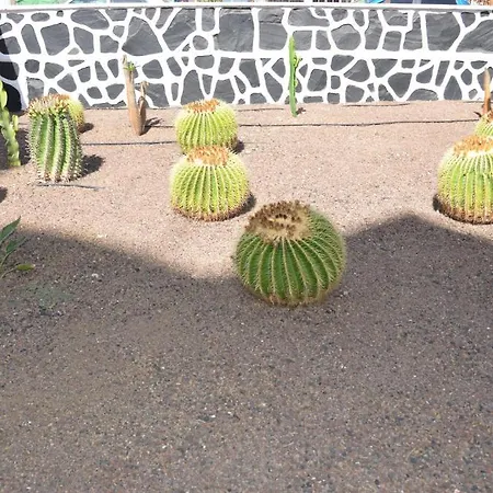 Apartment Cactus Playa del Ingles (Gran Canaria)